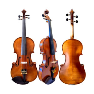 Violino Profissional Mod Strad Ajustado por Luthier Com estojo Luxo