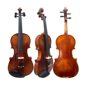 Violino - Eagle 4/4 Vk544 Completo - Ajustado e Revisado Por Luthier