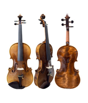1 Violino Artesanal Avançado Modelo Strad Importado Completo