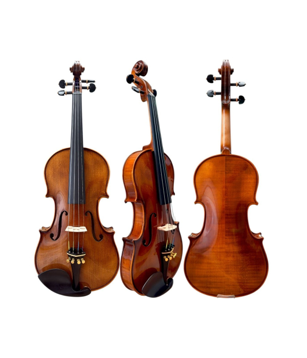 Violino Profissional Mod Strad Ajustado Luthier Case Luxo