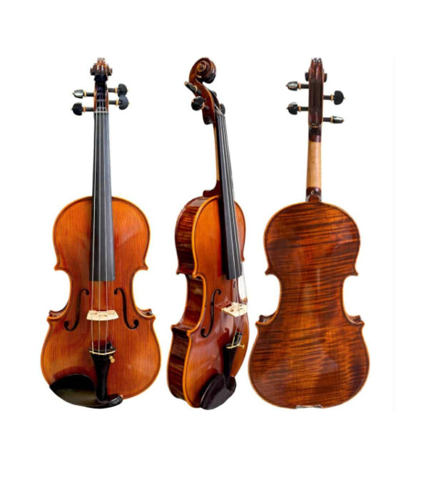 Violino Fastrings 4/4 Modelo Strad Importado Completo Ajustado FA302