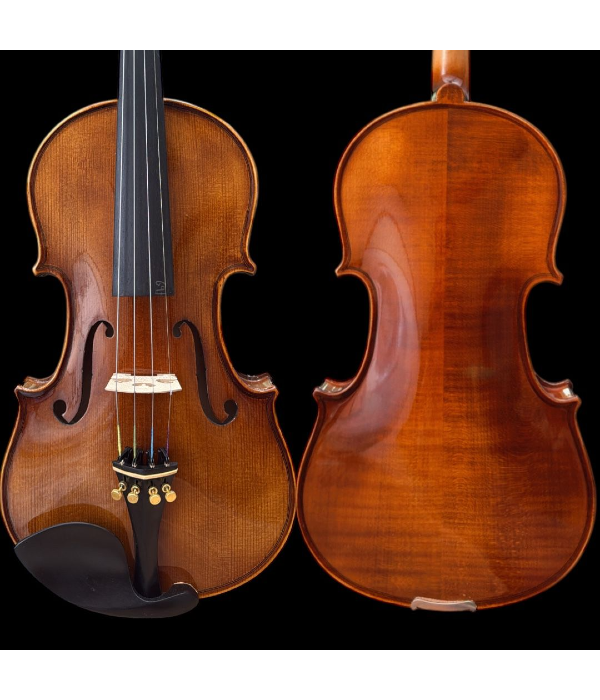 Violino Profissional Mod Strad Ajustado Luthier Case Luxo