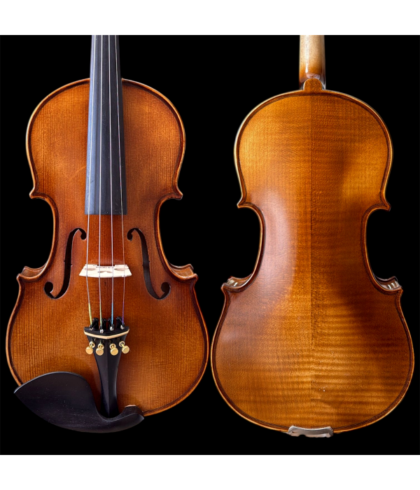 Violino Profissional Mod Strad Ajustado por Luthier Com estojo Luxo