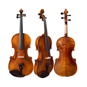 Viola De Arco Profissional Modelo Strad - Verniz A Óleo