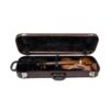Estojo Case Violino Premium Marron Comporta Hinario Ccb