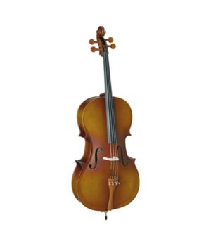 HCE110 Violoncelo Hofma HCE110 4/4 By Eagle Completo - Ajustado e Revisado Por Luthier