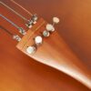 Violoncelo Hofma HCE110 4/4 By Eagle Completo - Ajustado e Revisado Por Luthier