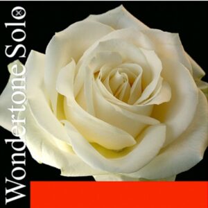 Encordoamento Violino - Pirastro Wondertone Solo