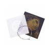 Conjunto De Cordas Pirastro Evah Pirazzi G Ouro