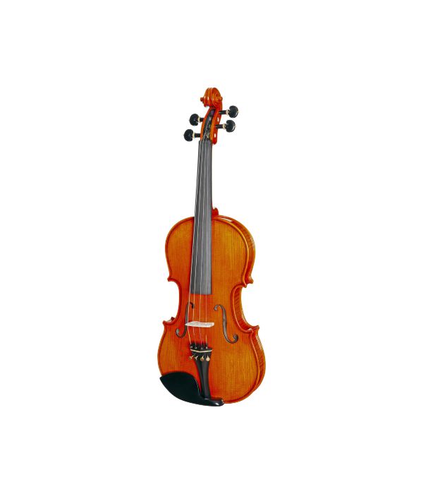 Violino Eagle 4/4 Vk844 Profissional Estojo De Luxo - Ajustado e Revisado Por Luthier