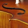Violoncelo Eagle Ce-210 Completo - Ajustado e Revisado Por Luthier