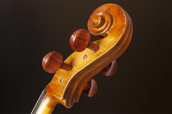 Violoncelo Eagle Ce-210 Completo - Ajustado e Revisado Por Luthier