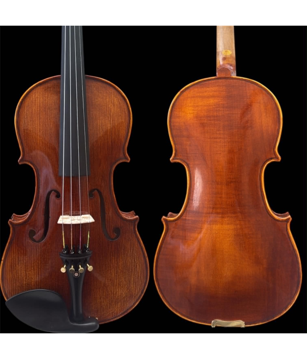 Violino - Eagle 4/4 Vk544 Completo - Ajustado e Revisado Por Luthier