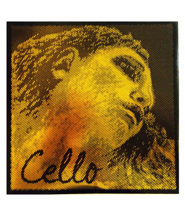 Encordoamento Cordas Evah Pirazzi Gold Cello - Violoncelo