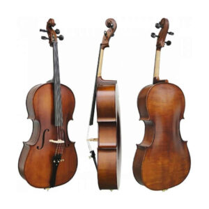Violoncelo Eagle CE300 - Completo – Ajustado e Revisado Por Luthier