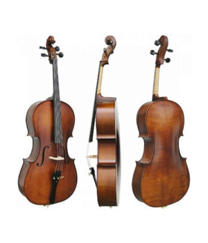 Violoncelo Eagle CE300 - Completo – Ajustado e Revisado Por Luthier