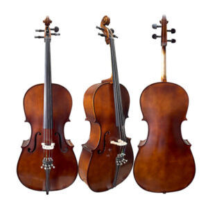 Violoncelo Fastrings Etude 4/4 Completo E Ajustado