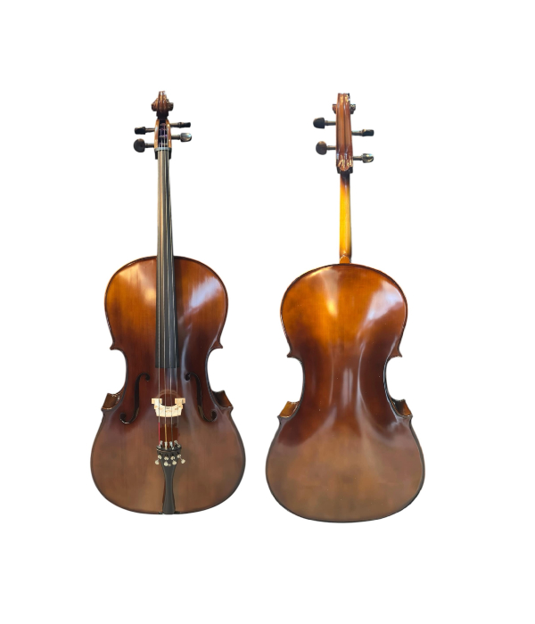 CE200 Violoncelo Fastrings Etude 4/4 Completo E Ajustado