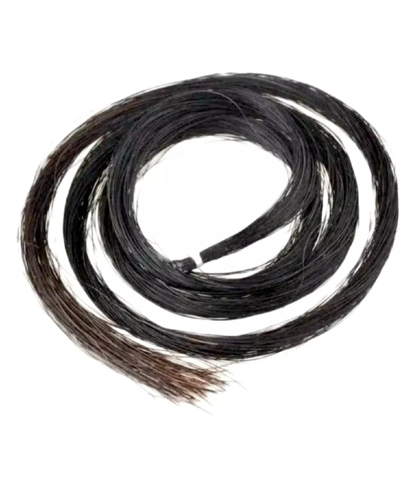 Crina Escura - Violino Viola