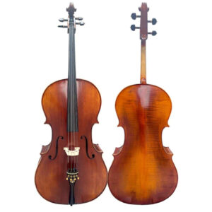 Violoncelo Fastrings Artesanal Avançado Modelo Strad 4/4