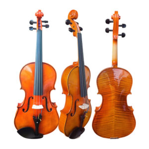 Viola De Arco Fastrings Profissional Com Case De Luxo  39,5 CM