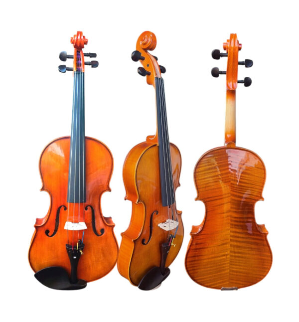 Viola De Arco Fastrings Profissional Com Case De Luxo  39,5 CM