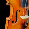 Viola De Arco Fastrings Profissional Com Case De Luxo  39,5 CM
