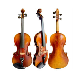 Violino Workshop Modelo Guarneri 4/4 Com Case De Luxo #202
