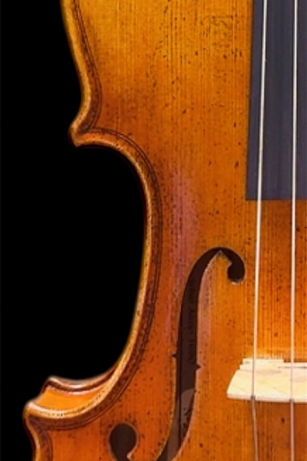 235 Violino Workshop Profissional Cópia Stradivari 4/4 #232