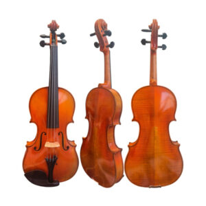 Violino Artesanal Fastrings Profissional Modelo Strad 4/4  #224