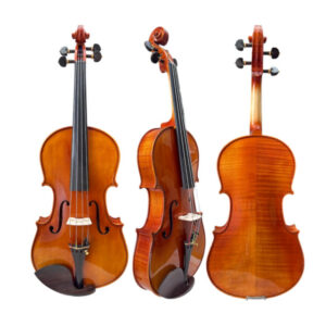 Viola De Arco Oficina Ajustado Por Luthier Case De Luxo