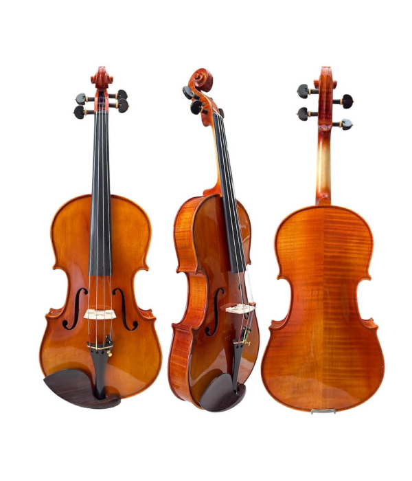 Viola De Arco Oficina Ajustado Por Luthier Case De Luxo