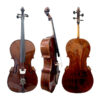 Violoncelo Profissional Oficina Mod. Strad Brilhante Escuro