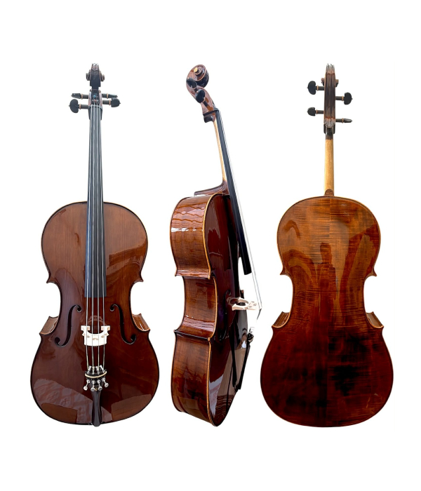 Violoncelo Profissional Oficina Mod. Strad Brilhante Escuro
