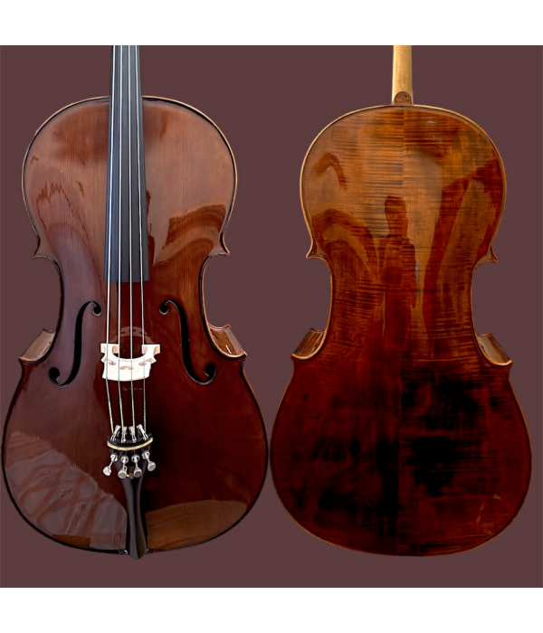 Violoncelo Profissional Oficina Mod. Strad Brilhante Escuro