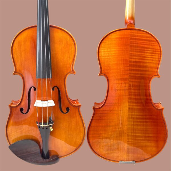 Viola De Arco Oficina Ajustado Por Luthier Case De Luxo