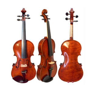 1 Violino Fastrings Atelier Model Stradivari #307